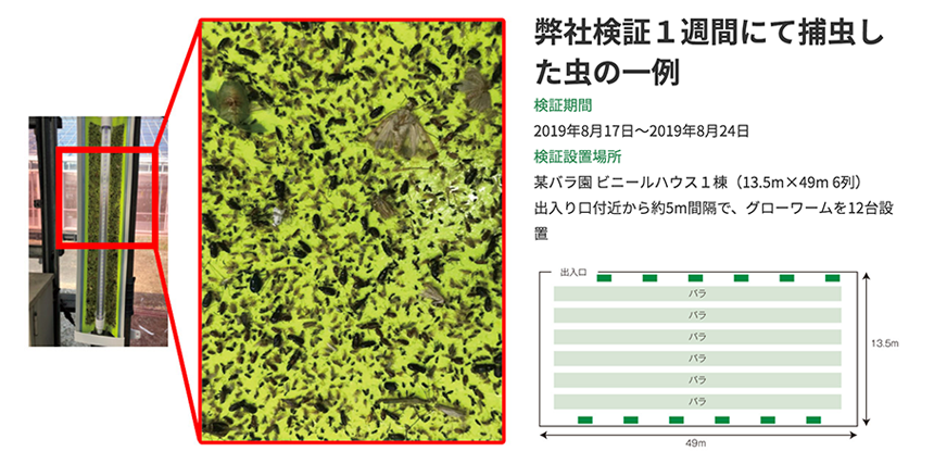 驚きの捕虫力 Glowworm（グローワーム）捕虫例